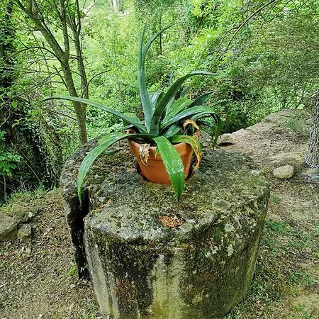 Ardetxal Kır Evi
