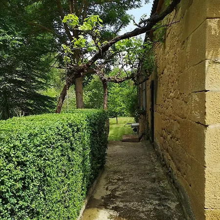 Ardetxal Kır Evi Vinaspre