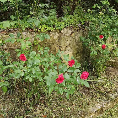 Kır Evi Ardetxal Vinaspre
